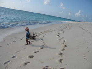 Bird/Sam&bush ©SHBenoiton