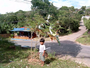 The village Christmas decor