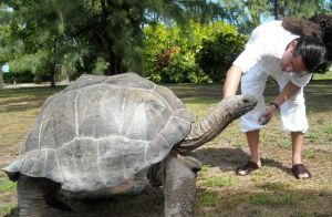 About as dangerous as wildlife gets ...