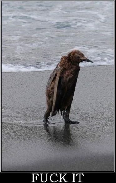 Fuck it