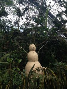 Just like Seychelles ...