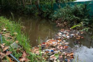 Sweet Escott, very near the EU 'project' ...