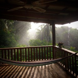 Lovely, lovely rain on my veranda!
