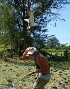 Christine under attack